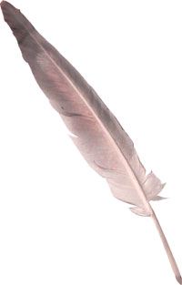 a feather